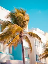 Mendieta has trained in aesthetic surgery at harvard, had advanced plastic surgery training at the royal college of surgeons in england and then . Zuri Plastic Surgery Miami Top Plastic Surgeon Alexander Zuri
