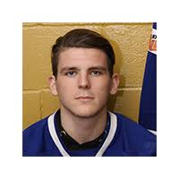 Ligue Hockey Côte-Sud