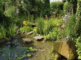 Nos Conseils Jardiland Bassin De Jardin Caracteristiques D Eau De Jardin Jardin Aquatique
