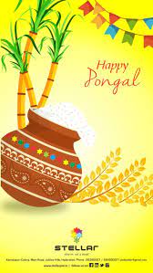May This Auspicious Festival Bring You Overflowing Happiness Joy And Prosperity Wishing You A Blessed And Happy Happy Pongal Sankranthi Wishes Pongal Images