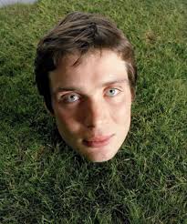 can someone explain the origin to this photo pls? : r/CillianMurphy