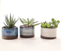 Set Of Three Ceramic Planters For Succulents Etsy Pottery Plant Pots Pottery Planters Handmade Ceramic Planters