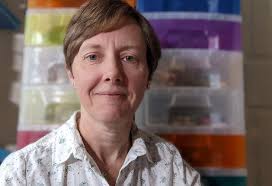 Meet the team at Play Included C.I.C.