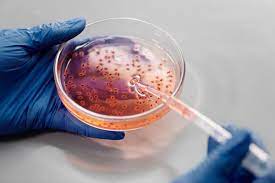 Why are all antibiotics turning out to be completely useless against a bacteria, commonly called superbug? U5xafmdyjegzsm