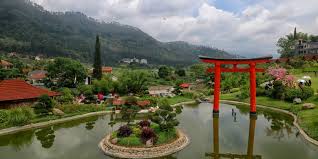 Spot foto kebaya malang : 5 Wisata Ala Jepang Di Malang Bamboo Forest Sampai Onsen Halaman All Kompas Com