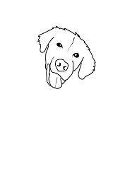 Teken het lichaam van de hond met gebogen lijnen, die de cirkels en het ovaal verbinden. Hond Kop Tekening