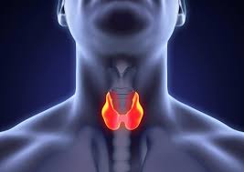 A lump or bump somewhere else in the neck. Early Signs Of Medullary Thyroid Cancer And Common Symptoms