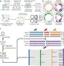 Offering expert treatment for all types of ocd, including sexual obsessions. Gunc Detection Of Chimerism And Contamination In Prokaryotic Genomes Biorxiv