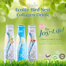 A bird nest can be found whilst cutting most types of trees, including ent trunks. Buy Exp 2024 Ecolite Bird Nest 250ml Beauty Supplement Health Bird Nest Drink Sarang Burung Bird Nest Birdnest Seetracker Malaysia