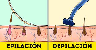 Cual Es La Diferencia Entre Epilacion Y Depilacion Ideas En 5 Minutos