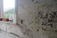 Op muur slaapkamer dans naar buiten gejaagd door schimmels in de slaapkamer rtv rijnmond. Schimmel Op De Slaapkamer Op Buitenmuur Aan Hoofdeinde Bouwinfo