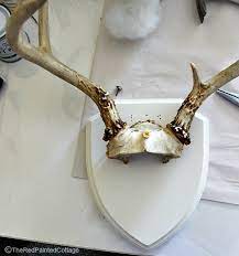 Pine, oak, walnut, and cherry all are fine examples of. Diy Fabric Covered Antler The Red Painted Cottage