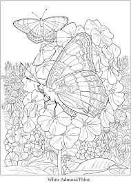 I've worked hard to be sure to have a collection of detailed coloring sheets on this page. Creative Haven Butterfly Gardens Coloring Book Butterfly Coloring Page Flower Coloring Pages Free Coloring Pages