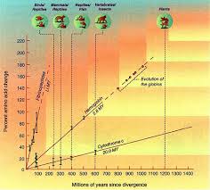 Evidence Supporting Biological Evolution Science And