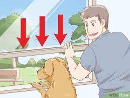While you will have good days and bad days, you should notice over one to two months that you see. 3 Ways To Stop A Puppy From Barking Wikihow Pet