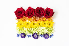 Sunflowers and wild flowers represent longevity and loyalty. The Top 5 Best Flowers