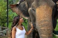 Elephant Jungle Sanctuary Phuket - 01-05-2024 Half Day Morning ...