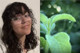 For NSHSS scholarship winner, art is an important part of life