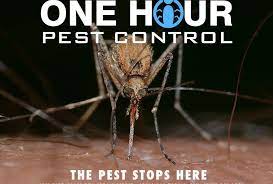 This offers peace of mind to our trained staff, our customers and the general public. 24 Hour Pest Control In New York For Your Home And Business