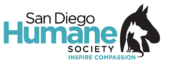 Maybe you would like to learn more about one of these? Pets For Adoption At San Diego Humane Society In San Diego Ca Petfinder