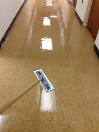 Commercial Vct Floors Strip Or Scrub Down Areas Dry Floor Apply Floor Finish Burnish Finished Product F Floor Cleaner Commercial Flooring Floor Finishes