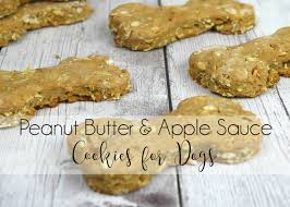 Combine oats, flax seeds, brewer's yeast, cheese, rice flour, oat bran flour and sugar in a large bowl. Homemade Dog Treat Biscuit Recipes Healthy Paws