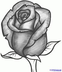 How To Draw A Rose Bud Rose Bud Step 10 Rose Sketch Roses Drawing Flower Sketches