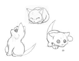 Sketches Playful Kittens By Kojichan On Deviantart Kitten Drawing Cute Drawings Sketches