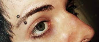 Eyebrow Piercing Wikiwand