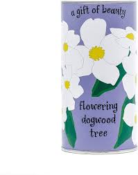 Blooms as soon as the first season after planting. Amazon Com Flowering Dogwood Tree Seed Grow Kit The Jonsteen Company Garden Outdoor