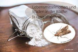 Als krankheitsüberträger können sie noch viele weitere erkrankungen in die heimischen. Lebensmittelmotten Und Maden Von Motten In Der Kuche Was Tun