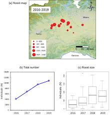 Europei under 21, l'italia non si ferma nella qualificazione agli europei. The Spreading Of The Invasive Sacred Ibis In Italy Scientific Reports