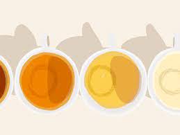 Decreased Urine Output Causes Treatment And Prevention
