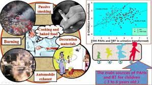 Co Exposure To Polycyclic Aromatic Hydrocarbons Benzene And Toluene And Their Dose Effects On Oxidative Stress Damage In Kindergarten Aged Children In Guangzhou China Sciencedirect