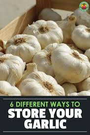 6 Different Methods For Storing Garlic Epic Gardening How To Store Garlic Garlic Garlic Recipes