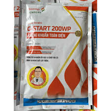 G-start 200WP