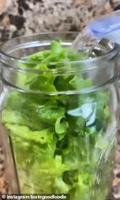 Replace the paper towel anytime it feels especially. Food Blogger Shares Hack To Keep Lettuce Fresh And Crispy For Over A Month Australiannewsreview
