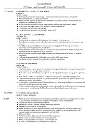 Sales representative resume sample inspires you with ideas and examples of what do you put in the objective, skills, responsibilities and duties. Real Estate Associate Resume Samples Velvet Jobs