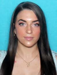 Please could someone remove the vehicle coming towards the camera