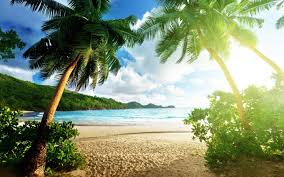 Island Background 1440x900 Download Hd Wallpaper Wallpapertip Download all photos and use them even for commercial projects. wallpapertip