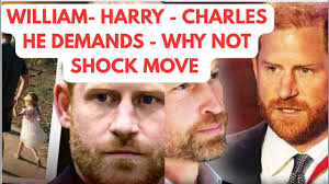 WHY NOT ! HARRY ,KING CHARLES