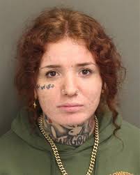 21-year-old ASHLI SMITH from ORLANDO was booked