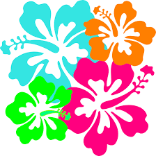 Http Www Clker Com Cliparts Q Y K M Z 1 Hibiscus Hi Png Hibiscus Clip Art Clip Art Flower Clipart