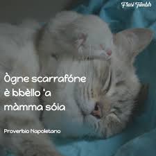 Mi sarebbe piaciuto essere io a volare in cielo e non tu. Frasi Sulla Mamma In Napoletano Le 20 Piu Belle E Dolci