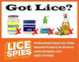 Does Smothering Head Lice In Olive Oil Mayonnaise Cetaphil Or Vaseline Work Lice Spies