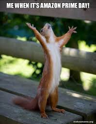 Today, july 16th, amazon prime day kicked off at 3 pm and things went downhill from there. Me When It S Amazon Prime Day Happy Squirrel Make A Meme