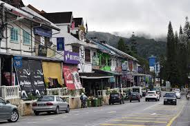 Cameron highlands resort, tanah rata. Cameron Highlands Exploration Day Seeking The Rafflesia Flower Career Gappers