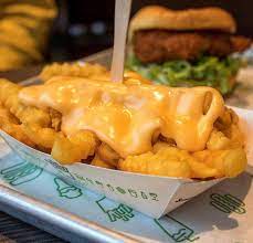 Cheese Fries From Shake Shack Nyc Food Food Receipes Pretty Food
