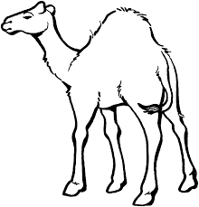 Multiple sizes and related images are all free on clker.com. Hump Day Camel Clipart Wikiclipart