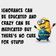 See more ideas about bones funny, funny quotes, stupid people. No Cure For Stupid Funny Quotes Quote Crazy Funny Quote Funny Quotes Humor Minions Stupid Funny Quotes Weird Quotes Funny Funny Minion Quotes